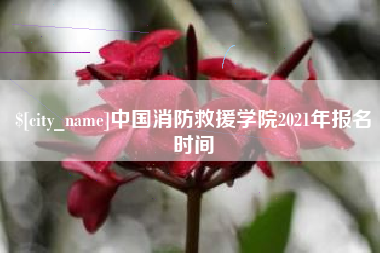 伊川中国消防救援学院2021年报名时间