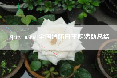 伊川全国消防日主题活动总结