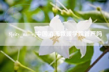 伊川中国消防救援学院管严吗