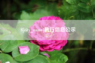 伊川执行信息公示