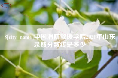 伊川中国消防救援学院2021年山东录取分数线是多少