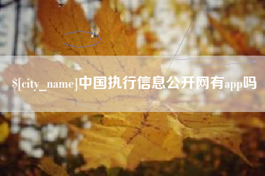 伊川中国执行信息公开网有app吗