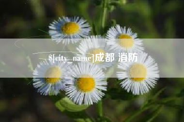 伊川成都 消防