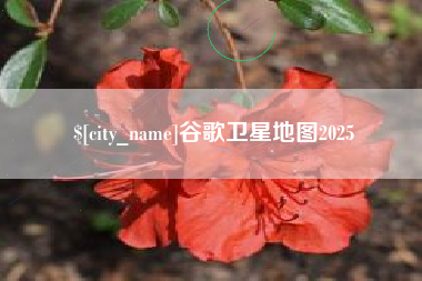伊川谷歌卫星地图2025