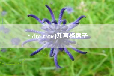 伊川九宫格盘子