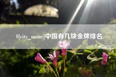 伊川中国有几块金牌排名