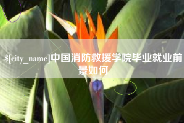 伊川中国消防救援学院毕业就业前景如何