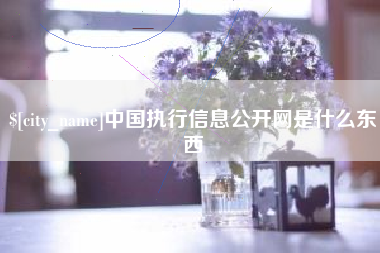伊川中国执行信息公开网是什么东西