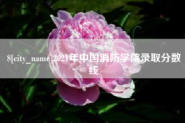 伊川2021年中国消防学院录取分数线