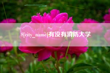 伊川有没有消防大学