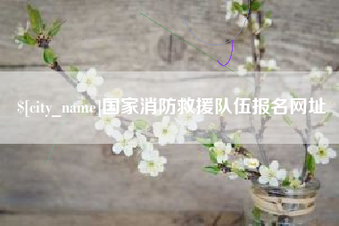 伊川国家消防救援队伍报名网址