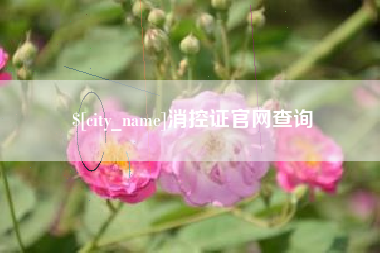 伊川消控证官网查询