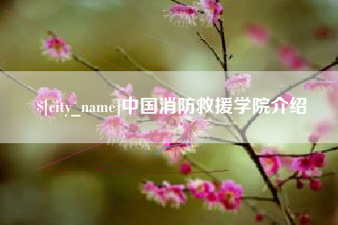 伊川中国消防救援学院介绍