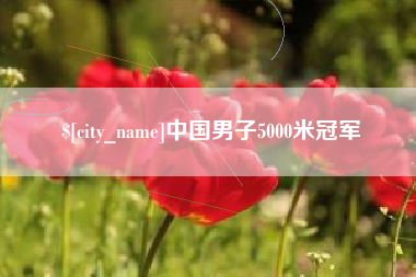 伊川中国男子5000米冠军