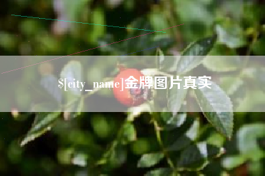 伊川金牌图片真实