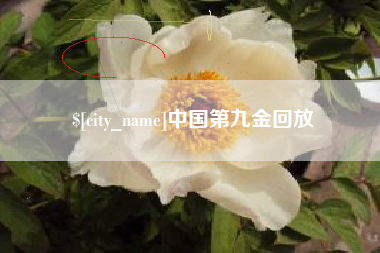 伊川中国第九金回放