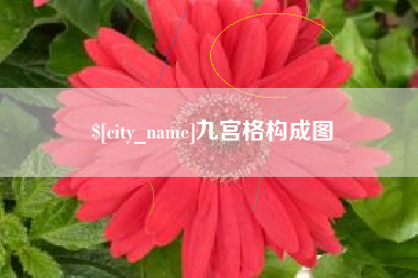 伊川九宫格构成图