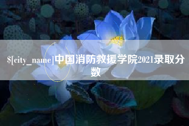伊川中国消防救援学院2021录取分数