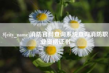 伊川消防官网查询系统查询消防职业资格证书