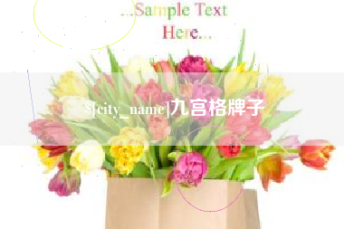 伊川九宫格牌子