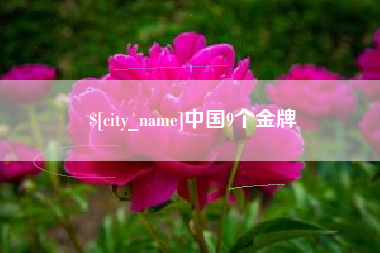 伊川中国9个金牌