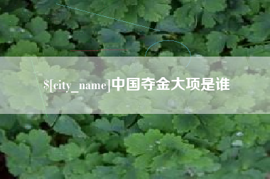 伊川中国夺金大项是谁