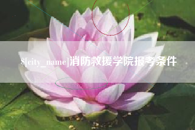 伊川消防救援学院报考条件