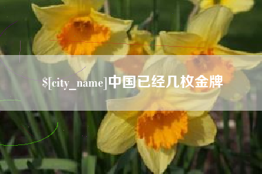 伊川中国已经几枚金牌