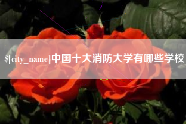 伊川中国十大消防大学有哪些学校