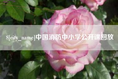 伊川中国消防中小学公开课回放