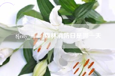 伊川森林消防日是哪一天