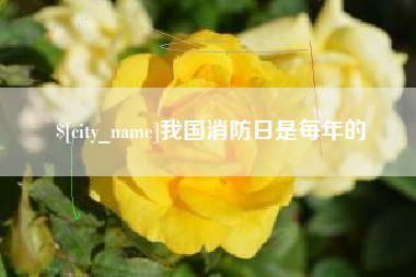 伊川我国消防日是每年的