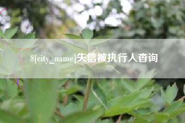 伊川失信被执行人杳询