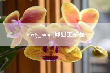 伊川邱县王子磊