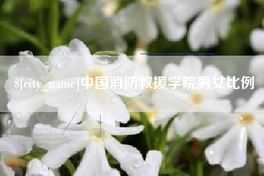 伊川中国消防救援学院男女比例