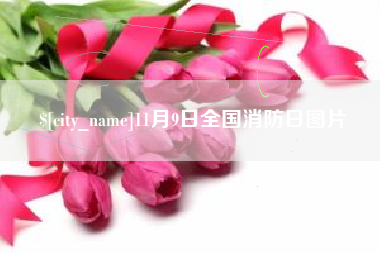 伊川11月9日全国消防日图片