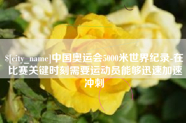 伊川中国奥运会5000米世界纪录-在比赛关键时刻需要运动员能够迅速加速冲刺