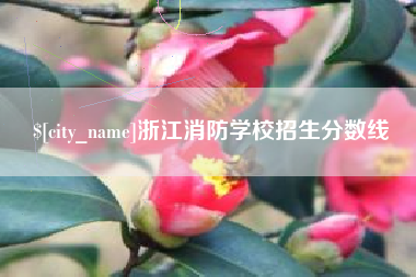 伊川浙江消防学校招生分数线