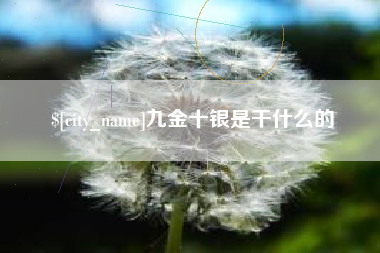 伊川九金十银是干什么的