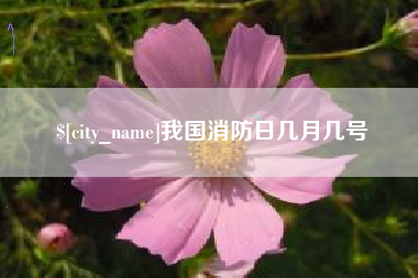 伊川我国消防日几月几号