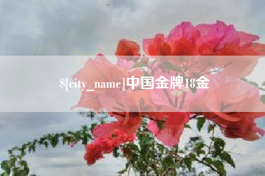 伊川中国金牌18金