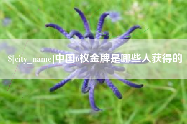 伊川中国6枚金牌是哪些人获得的