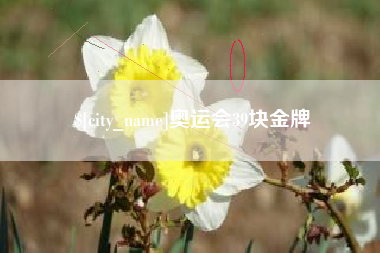 伊川奥运会39块金牌
