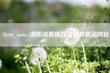 伊川消防设施操作员证书查询网址
