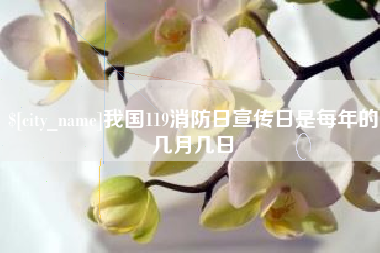 伊川我国119消防日宣传日是每年的几月几日