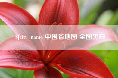 伊川中国省地图 全图黑白