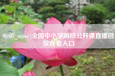 伊川全国中小学消防公开课直播回放观看入口