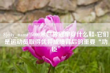 伊川5000米世界冠军穿什么鞋-它们是运动员取得优异成绩背后的重要“功臣”