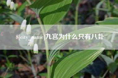 伊川九宫为什么只有八卦