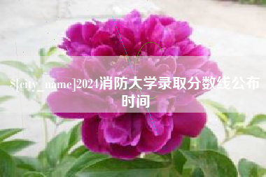 伊川2024消防大学录取分数线公布时间